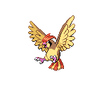 #017 Pidgeotto - Pokémon Black / White