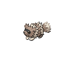 #263 Zigzagoon - Pokémon Black / White