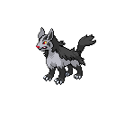 #262 Mightyena - Pokémon Black / White