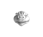Wizpig Ghost Head - Diddy Kong Racing