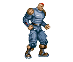 Gigant - The Ninja Warriors / Ninja Warriors Again