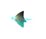 Shark - Moorhuhn Piraten
