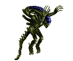 Dolphin Alien - Alien vs. Predator