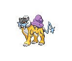 #243 Raikou - Pokémon Black / White