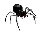 Giant Spider - Immortal