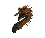 Dragon - Immortal