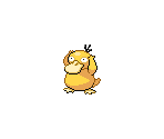 #054 Psyduck - Pokémon Black / White