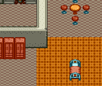 Protein Palace - Metal Max 2 (JPN)