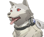 Koromaru - Persona 3 Portable