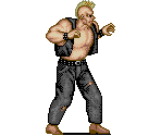 Birdie - Street Fighter