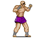 Sagat - Street Fighter