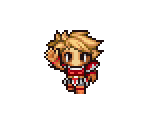 Playable Characters - Final Fantasy