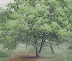 Locations [3/4] - Hakuouki Zuisouroku DS