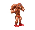 Tiny - Clay Fighter / Clay Fighter: Tournament Edition