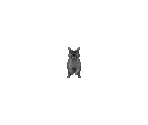Dog - Operation: Arctic Wolf
