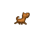 Ivy (Dog Costume) - Ivy the Kiwi