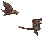Enemies - Ivy the Kiwi