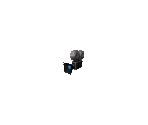 Camera - Donkey Kong 64
