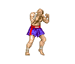 Sagat - Street Fighter 2: Champion Edition
