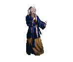 Shang Tsung - Mortal Kombat