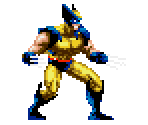 Wolverine - Wolverine: Adamantium Rage