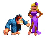 Swanky Kong & Candy Kong - Donkey Kong Country 2
