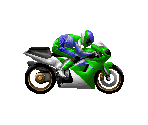 Green / Blue (Day) - Suzuka 8 Hours