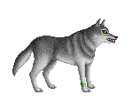 Wolf - Heroes of Might and Magic