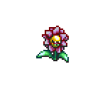 Killer Pansy - Children of Mana