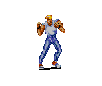 Hawk - Riot Zone