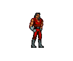Willy - Double Dragon II: The Revenge (JPN)