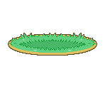 Battle Bases - Pokémon HeartGold / SoulSilver
