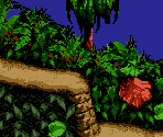Ropey Rampage - Donkey Kong Country