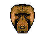 Baboon - Animorphs