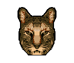Cat - Animorphs