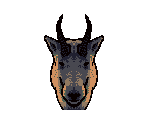 Goat - Animorphs