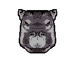 Hippo - Animorphs