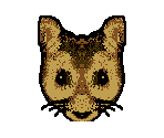 Mouse - Animorphs