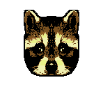 Raccoon - Animorphs