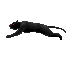 Black Panther - Castlevania: Symphony of the Night