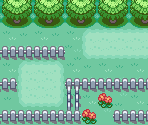 Route 13 - Pokémon FireRed / LeafGreen
