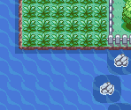 Route 21 - Pokémon FireRed / LeafGreen