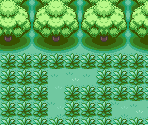 Pattern Bush - Pokémon FireRed / LeafGreen