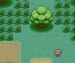 Viridian Forest - Pokémon FireRed / LeafGreen