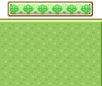 PC Interface - Pokémon FireRed / LeafGreen