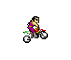 Roberto - Motocross Maniacs Advance