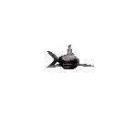 Shark - Duke Nukem 3D