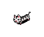 Cat - That's QT!