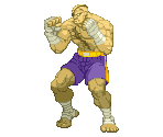 Sagat - Capcom vs. SNK 2
