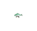 Bait - Umihara Kawase Shun (JPN)